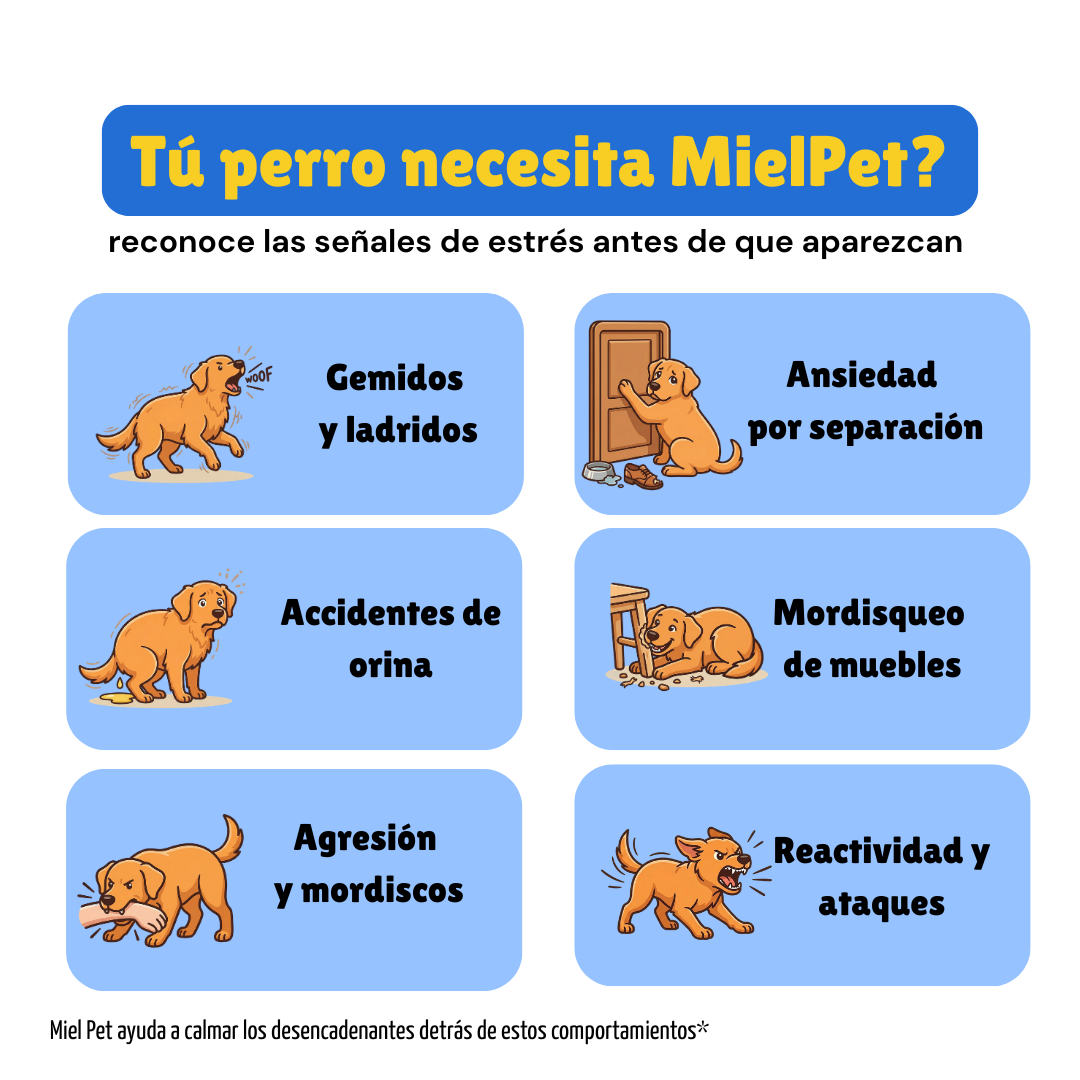 Difusor Calmante para Perros